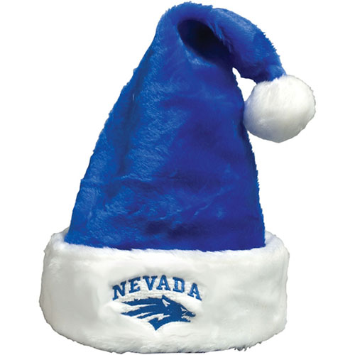 Plush Custom Logo Santa Hat